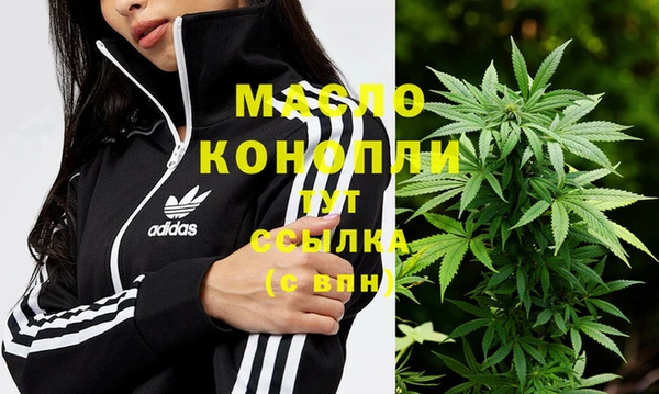 амф Липки