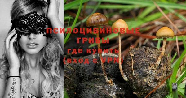 таблы Лиски