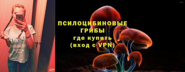 гашик Лихославль