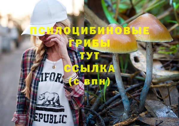 амф Липки