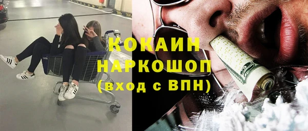 амф Липки