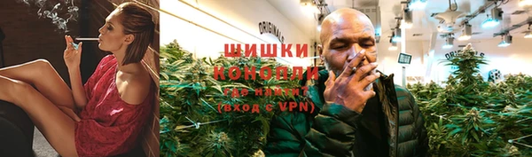 амф Липки