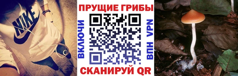 Галлюциногенные грибы ЛСД Холм